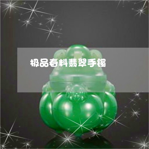 极品春料翡翠手镯/2023031998370
