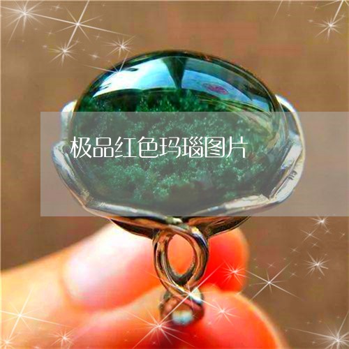 极品红色玛瑙图片/2023031960472 极品红色玛瑙图片/2023031960472