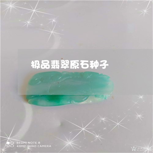 极品翡翠原石种子/2023031932824
