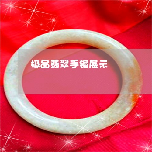 极品翡翠手镯展示/2023031920584
