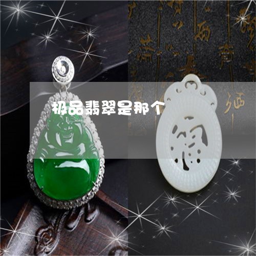 极品翡翠是那个/2023040197940 极品翡翠是那个/2023040197940