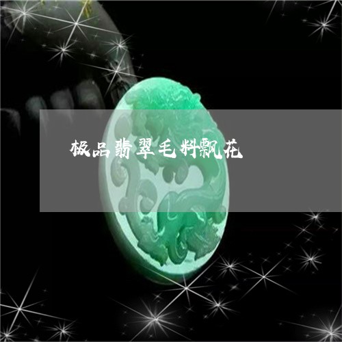 极品翡翠毛料飘花/2023031921482 极品翡翠毛料飘花/2023031921482