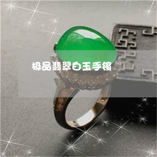 极品翡翠白玉手镯/2023031959504 极品翡翠白玉手镯/2023031959504