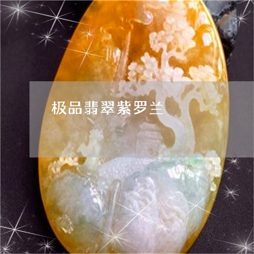 极品翡翠紫罗兰/2023040128258 极品翡翠紫罗兰/2023040128258