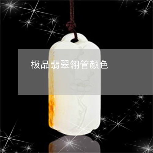 极品翡翠翎管颜色/2023031974936 极品翡翠翎管颜色/2023031974936