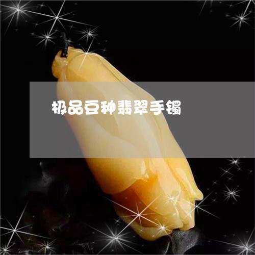 极品豆种翡翠手镯/2023031918261 极品豆种翡翠手镯/2023031918261