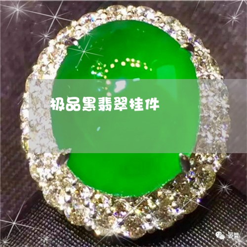极品黑翡翠挂件/2023040162594