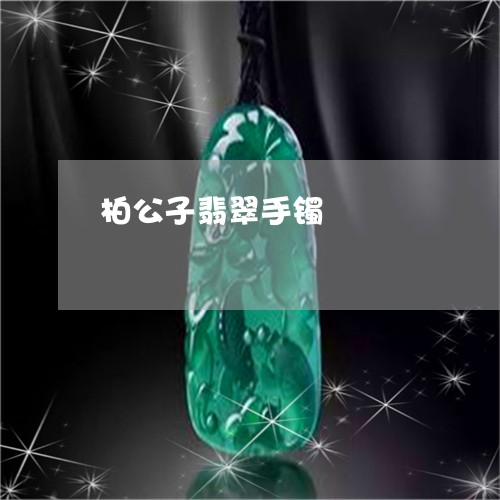 柏公子翡翠手镯/2023040193927 柏公子翡翠手镯/2023040193927