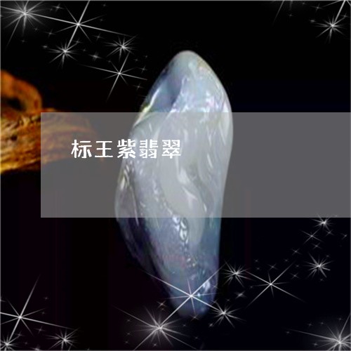 标王紫翡翠/2023071549491