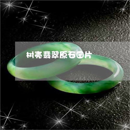 树壳翡翠原石图片/2023032008270 树壳翡翠原石图片/2023032008270