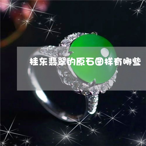 桂东翡翠的原石图样有哪些/2023061909381 桂东翡翠的原石图样有哪些/2023061909381