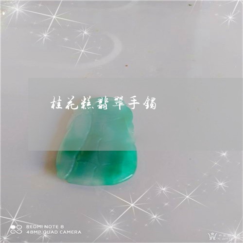 桂花糕翡翠手镯/2023040119149 桂花糕翡翠手镯/2023040119149
