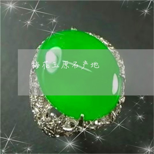 梅花玉原石产地/2023040183614 梅花玉原石产地/2023040183614