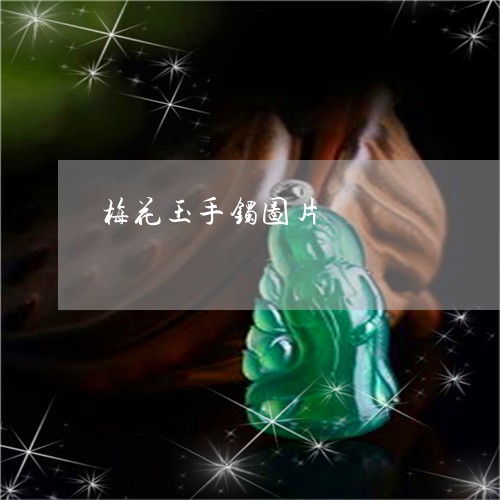 梅花玉手镯图片/2023040118159 梅花玉手镯图片/2023040118159