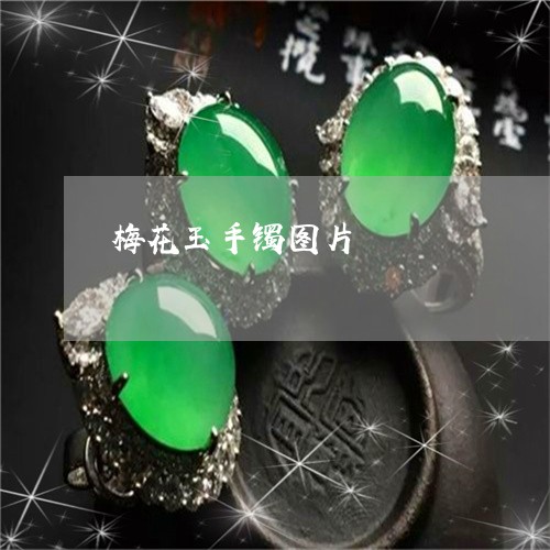 梅花玉手镯图片/2023040176148 梅花玉手镯图片/2023040176148