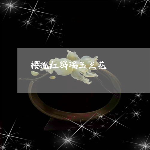 樱桃红玛瑙玉兰花/2023032034925 樱桃红玛瑙玉兰花/2023032034925