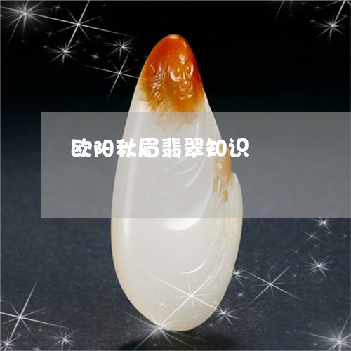 欧阳秋眉翡翠知识/2023012694036 欧阳秋眉翡翠知识/2023012694036