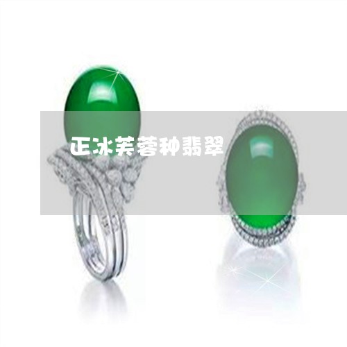 正冰芙蓉种翡翠/2023040194048 正冰芙蓉种翡翠/2023040194048