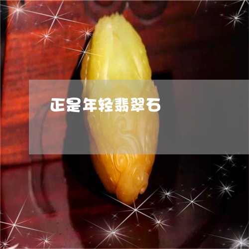 正是年轻翡翠石/2023040174626