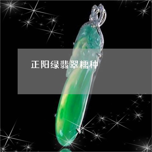 正阳绿翡翠糯种/2023040197159