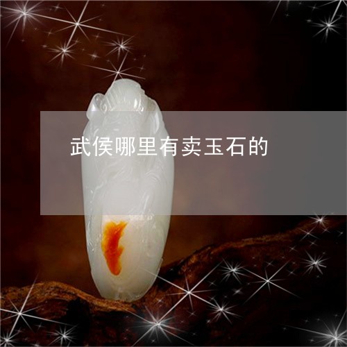 武侯哪里有卖玉石的/2023041658493