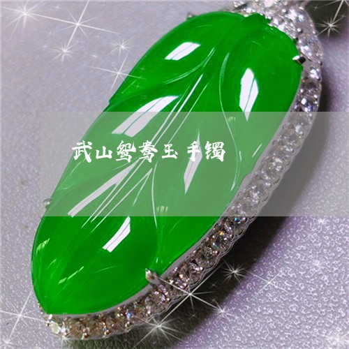武山鸳鸯玉手镯/2023040128372 武山鸳鸯玉手镯/2023040128372