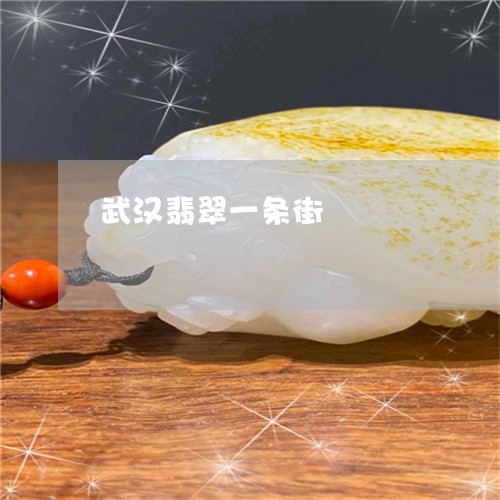 武汉翡翠一条街/2023040141514 武汉翡翠一条街/2023040141514