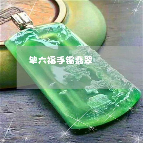 毕六福手镯翡翠/2023040141385