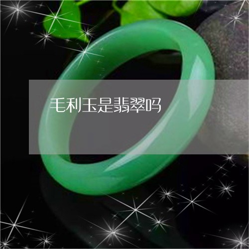 毛利玉是翡翠吗/2023040104847