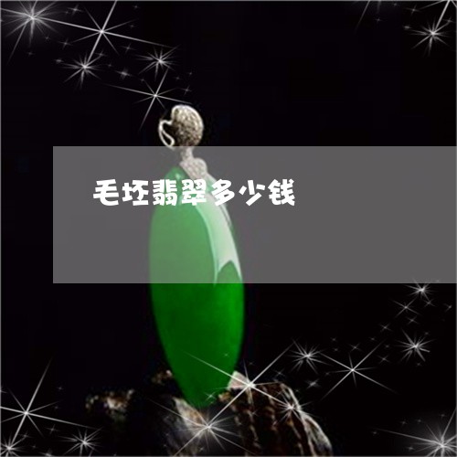 毛坯翡翠多少钱/2023040194969