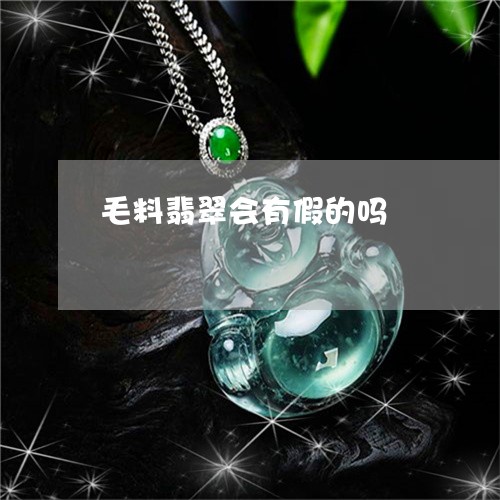 毛料翡翠会有假的吗/2023041606049