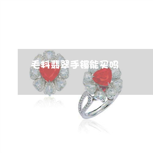 毛料翡翠手镯能买吗/2023041665931