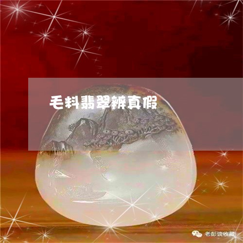 毛料翡翠辨真假/2023040162714 毛料翡翠辨真假/2023040162714