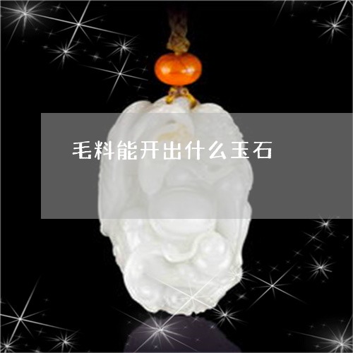 毛料能开出什么玉石/2023041616269