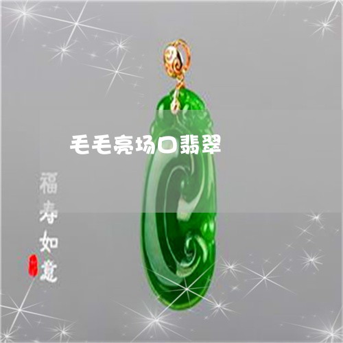 毛毛亮场口翡翠/2023040136157
