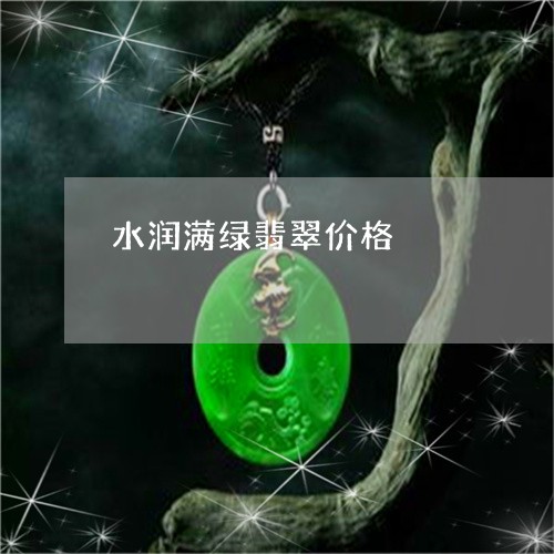 水润满绿翡翠价格/2023032065827 水润满绿翡翠价格/2023032065827