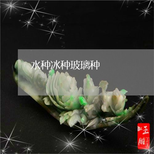水种冰种玻璃种/2023040117259 水种冰种玻璃种/2023040117259