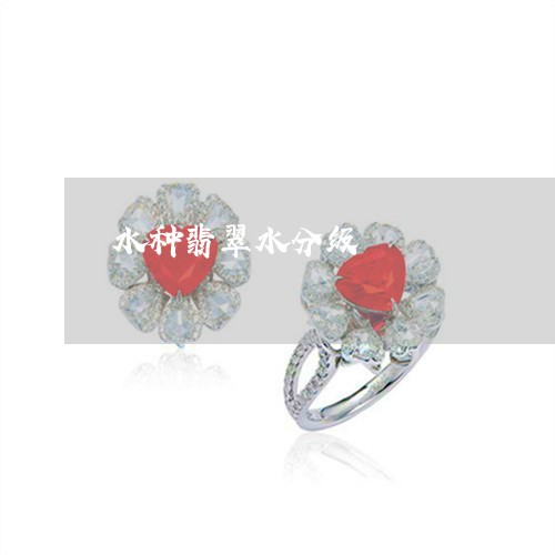 水种翡翠水分级/2023040129392