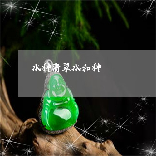 水种翡翠水和种/2023040174594