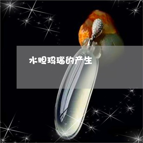 水胆玛瑙的产生/2023040157482