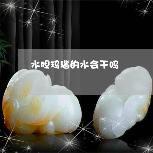 水胆玛瑙的水会干吗/2023041518271