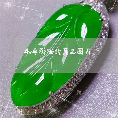 水草玛瑙的真品图片/2023041525937