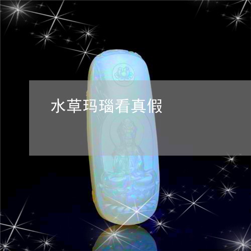 水草玛瑙看真假/2023040175950 水草玛瑙看真假/2023040175950