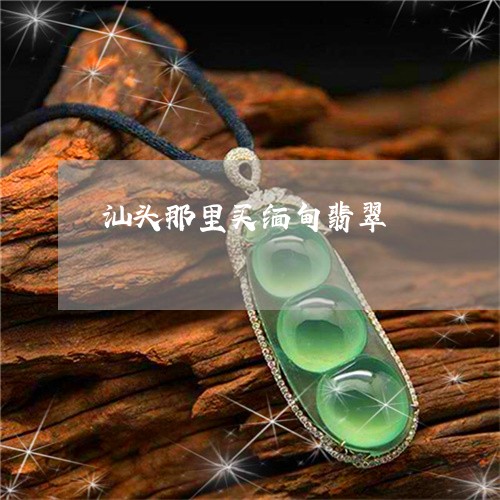 汕头那里买缅甸翡翠/2023041694705 汕头那里买缅甸翡翠/2023041694705