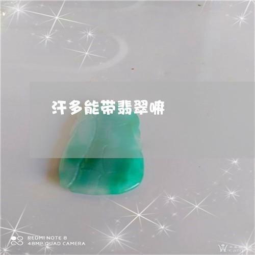 汗多能带翡翠嘛/2023040149380 汗多能带翡翠嘛/2023040149380