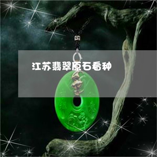 江苏翡翠原石看种/2023032086270