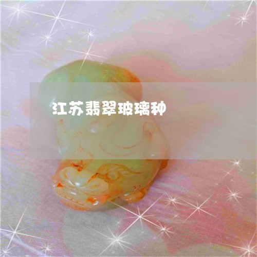 江苏翡翠玻璃种/2023033176935 江苏翡翠玻璃种/2023033176935