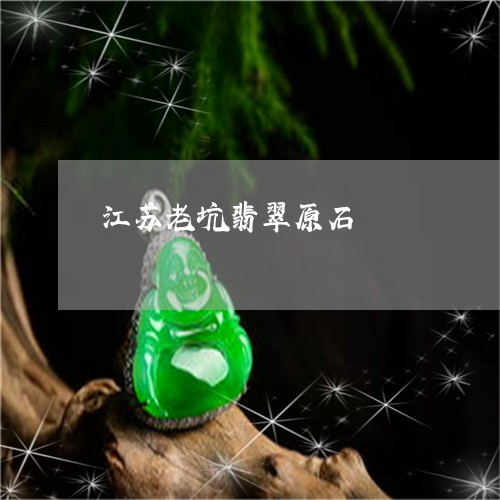 江苏老坑翡翠原石/2023032027359