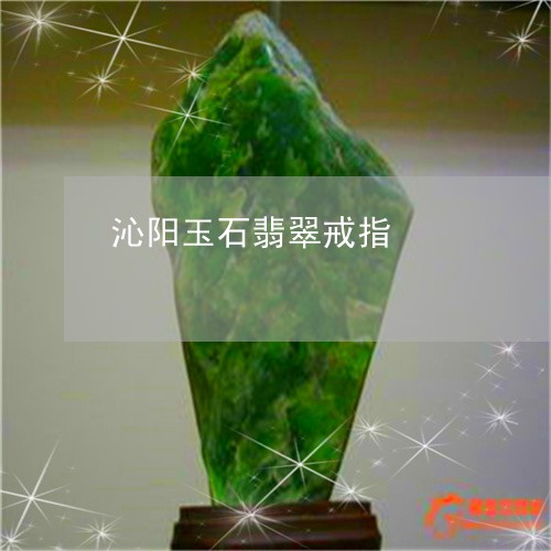 沁阳玉石翡翠戒指/2023032081836 沁阳玉石翡翠戒指/2023032081836