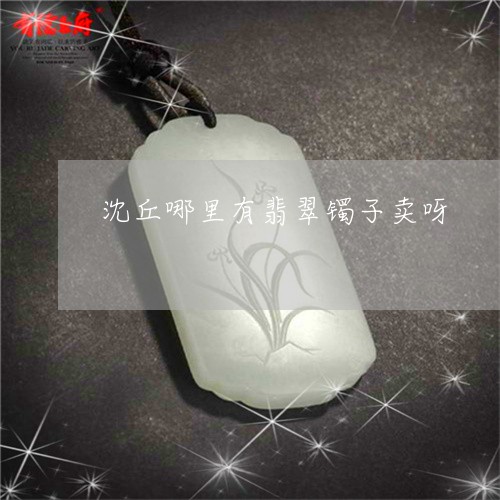 沈丘哪里有翡翠镯子卖呀/2023061884048